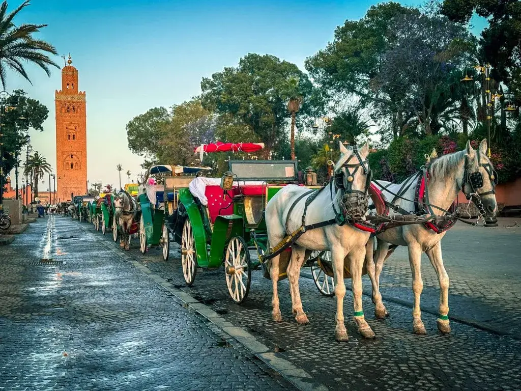 Adventure in the Sahara Desert as part of a 4-day Marrakech to Merzouga tour  - View 1